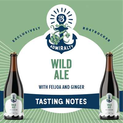 WILD ALE WITH FEIJOA & GINGER (NOV 2023)