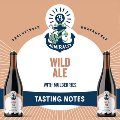 WILD ALE WITH MULBERRIES (NOV 2023)